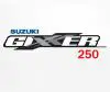 Suzuki Gixxer 250 to be launched in India on March 2016