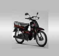 Motomel Go 110 Delivery