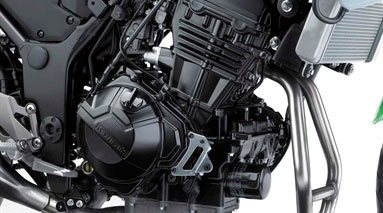 Kawasaki Ninja 300 ABS Engine