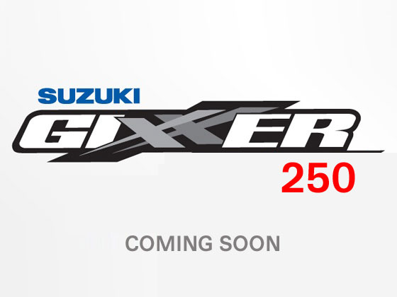 Suzuki Gixxer 250 Coming Soon