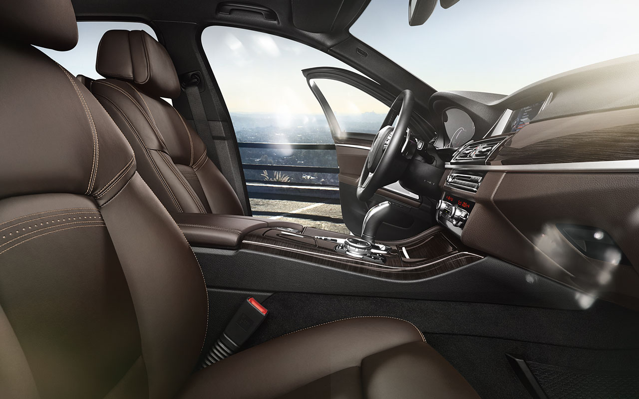BMW 5 Series 520i Luxury Line interior front seat view