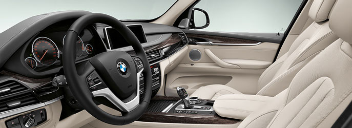 BMW X5 xDrive 30d Steering
